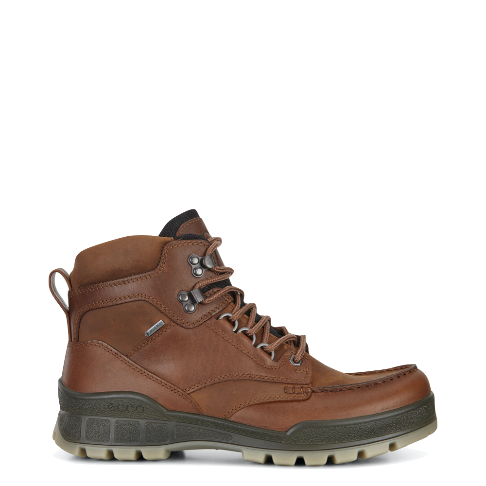 Ecco Men's Track 25 High GTX Waterproof Leather Boot in Bison Brown – V ...